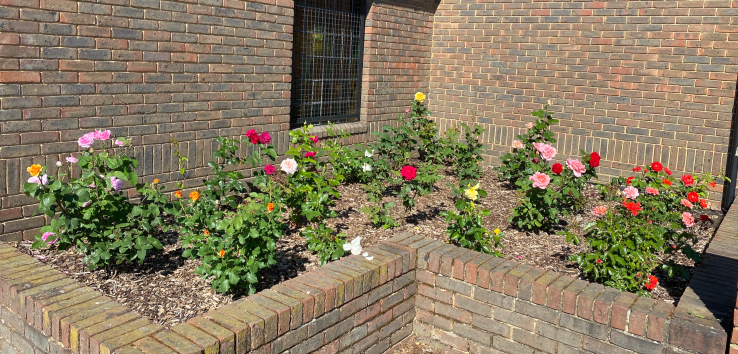 Screenshot 2021-06-25 at 15.18.41