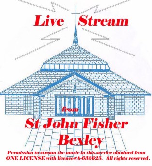 live streamlogo copy