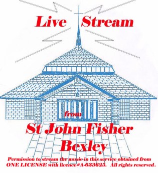 live streamlogo copy